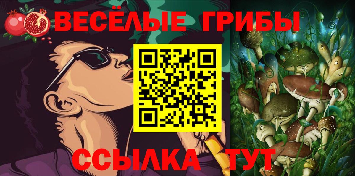 Псилоцибиновые грибы мицелий Клин